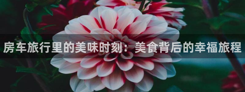 “海角社区官网最新地址发布：房车旅行里的美