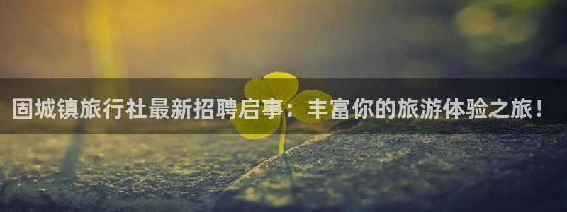 “海角社区20313281：固城镇旅行社最